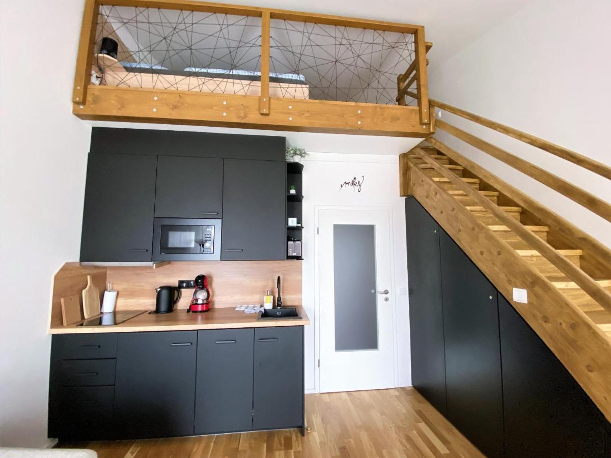 Miky Apartman Klinovec View Loučná pod Klínovcem Exteriör bild