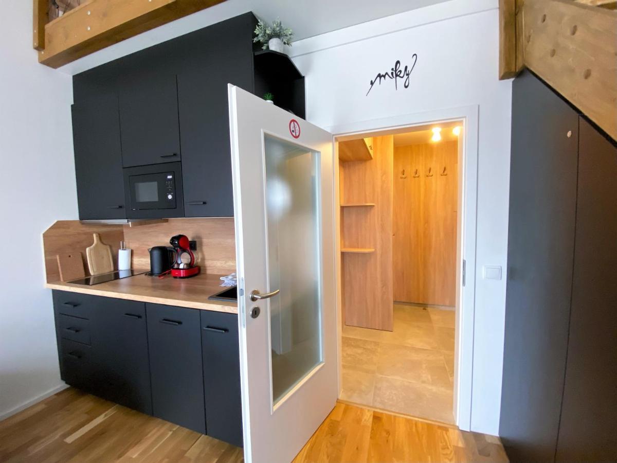 Miky Apartman Klinovec View Loučná pod Klínovcem Exteriör bild