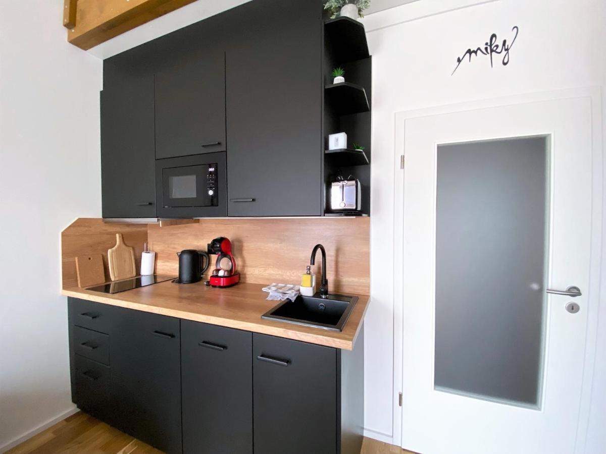 Miky Apartman Klinovec View Loučná pod Klínovcem Exteriör bild