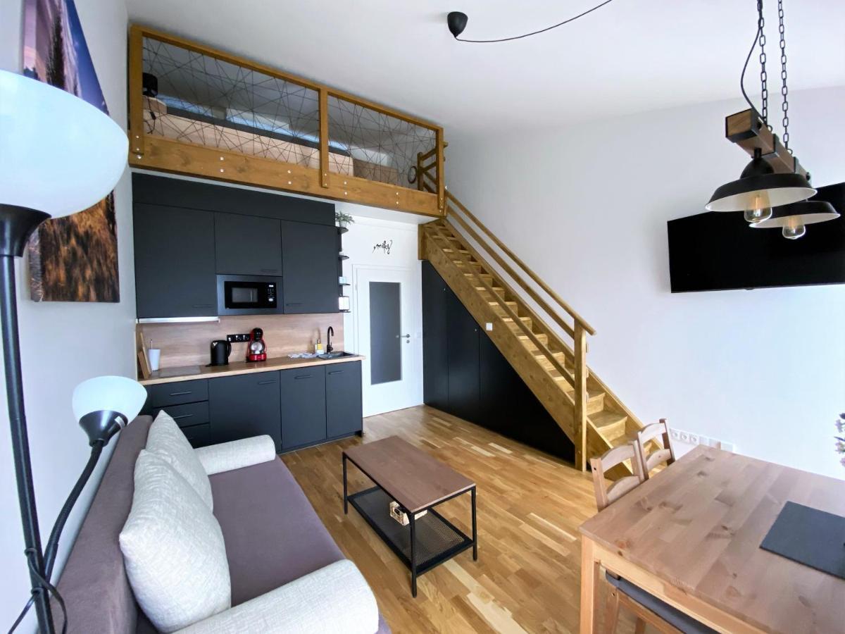 Miky Apartman Klinovec View Loučná pod Klínovcem Exteriör bild