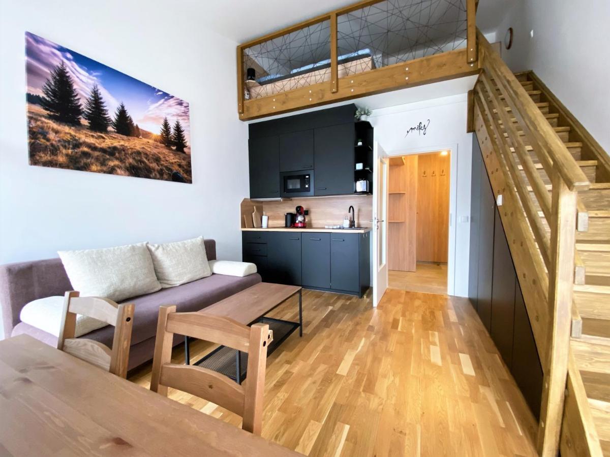 Miky Apartman Klinovec View Loučná pod Klínovcem Exteriör bild